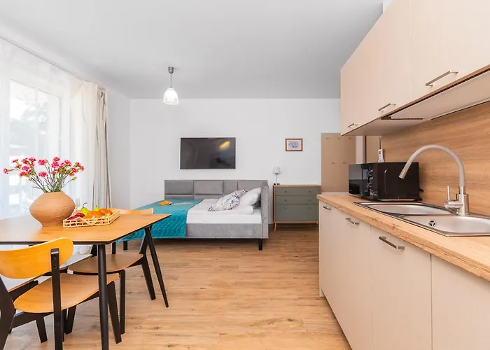Apartament Mierzeja - Park Ii, 24m2, 500 M Od Plaży, Bezpłatny Meleks *